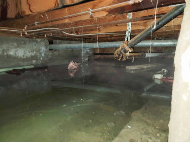 Best Basement water damage restoration  in Jacksonwald, PA