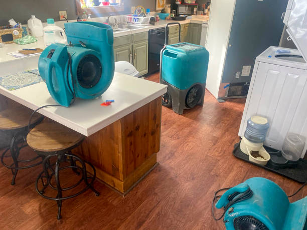Best Ceiling water damage repair  in Jacksonwald, PA