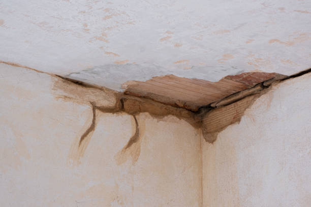 Best Basement water damage restoration  in Jacksonwald, PA