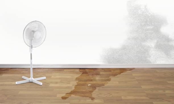Best Local water damage restoration  in Jacksonwald, PA