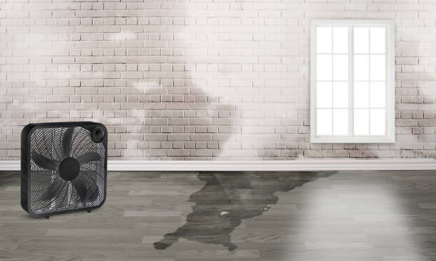 Trusted Jacksonwald, PA Water damage restoration Experts