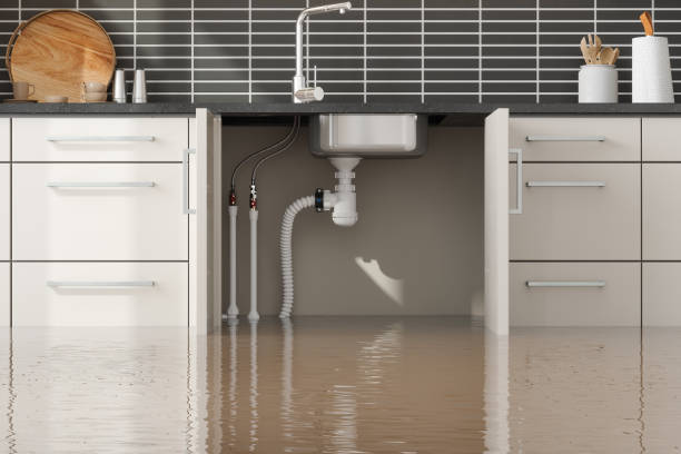 Best Water damage contractors near me  in Jacksonwald, PA