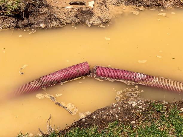 Best Mold removal after water damage  in Jacksonwald, PA